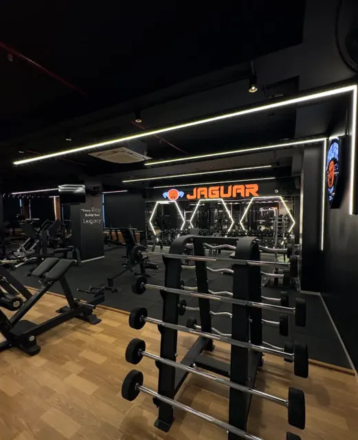Barbell rack with straight and curl bars
